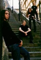 interview The Old Dead Tree